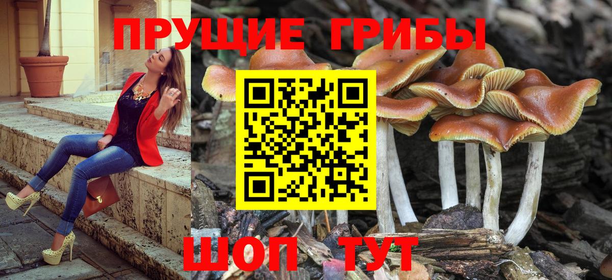 Псилоцибиновые грибы MAGIC MUSHROOMS Татарск