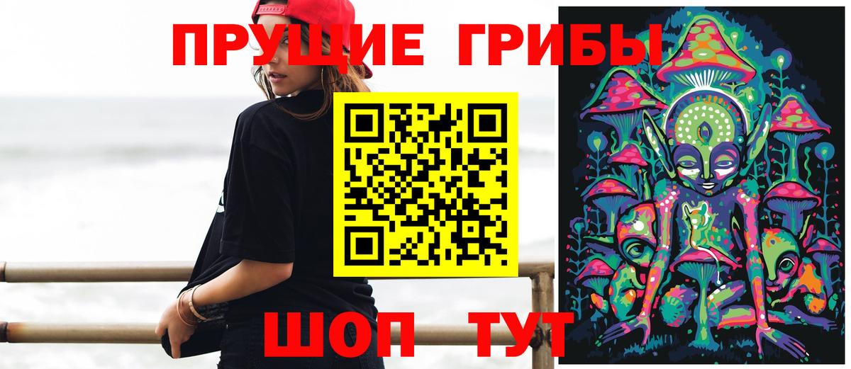 Псилоцибиновые грибы прущие грибы  Вход с VPN  Татарск 